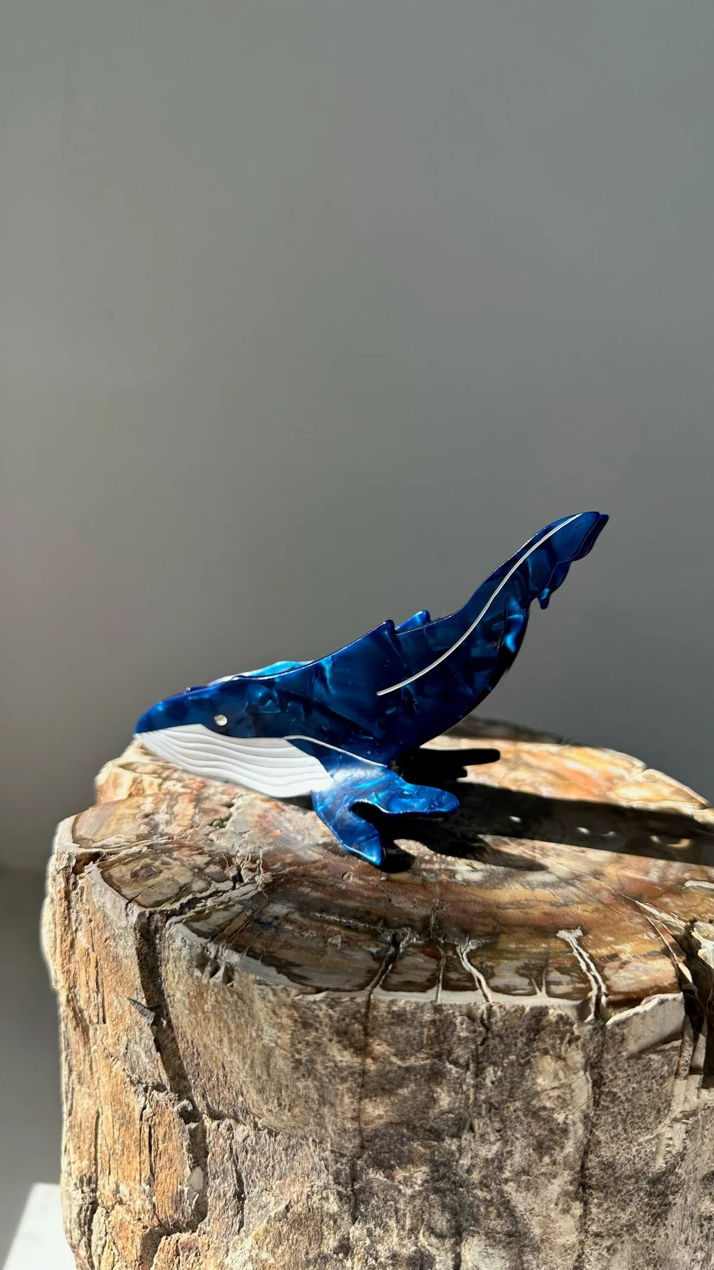 Hairclip para el cabello "NUQUI"